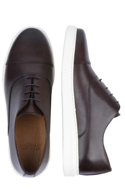 Shop Vellapais Hilton Leather Oxford Sneaker In Dark Brown