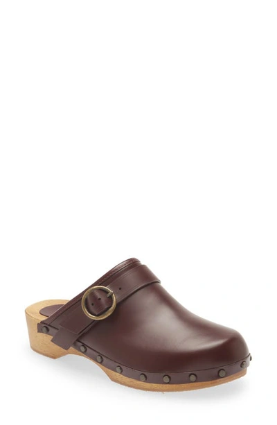 Shop Isabel Marant Thalie Buckle Clog In 80by Burgundy