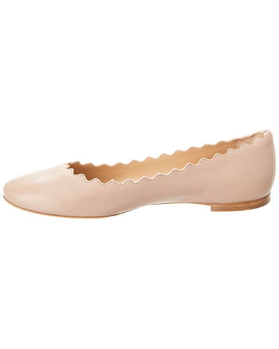 Shop Chloé Chloe Lauren Scalloped Leather Ballerina Flat, 41, Pink