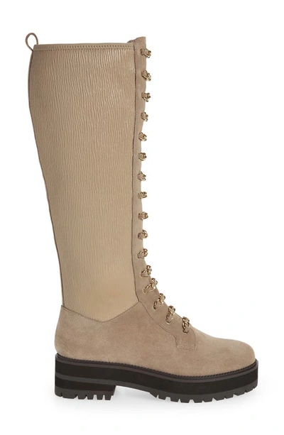 Shop Cecelia New York Knee High Boot In Taupe