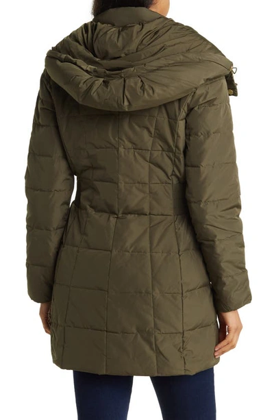 Shop Cole Haan Signature Cole Haan Hooded Down & Feather Jacket In Olive