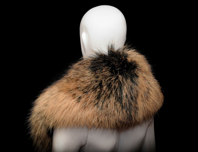 Pre-owned Handmade Massive Essential Finn Raccoon  Men's Wrap Collar Scarf Stole Boa In Gold