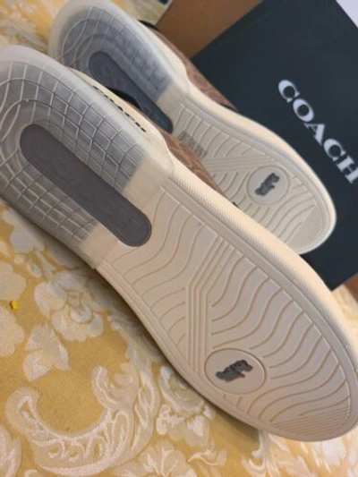 Pre-owned Coach $285  Men's Low Top Sneaker Signature Canvas 12 D Limited Edition In Multicolor