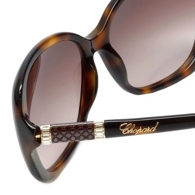 Pre-owned Chopard Designer Sunglasses Sch149s-09aj In Tortoise With Brown-gradient Lens