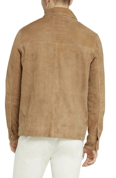 Shop Ted Baker Thierry Suede Shacket In Camel