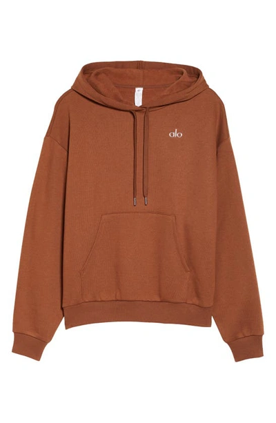 Shop Alo Yoga Accolade Hoodie In Cinnamon Brown