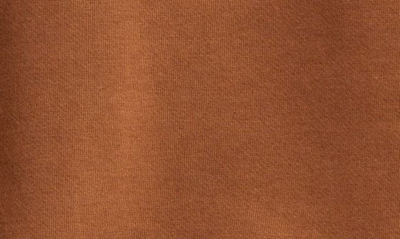 Alo Yoga Accolade Hoodie In Cinnamon Brown