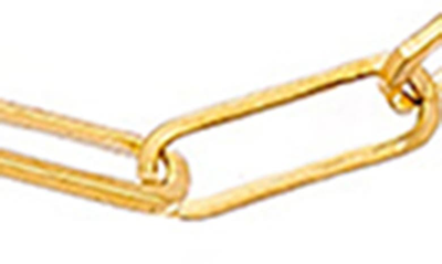Shop Sethi Couture Paper Clip Chain Necklace In Yellow
