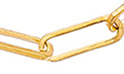 Sethi Couture Paperclip Chain Necklace In Yellow