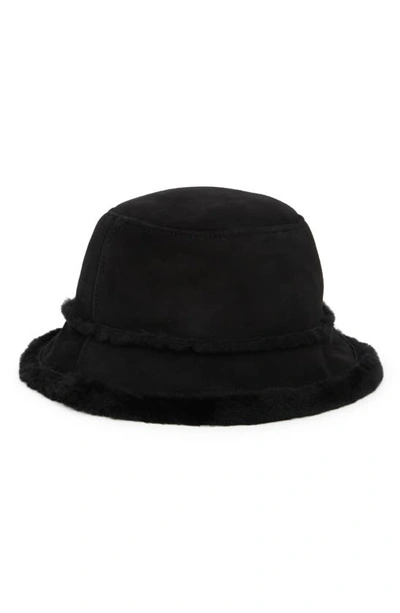 Ugg ® Genuine Shearling & Sheepskin Bucket Hat In Black