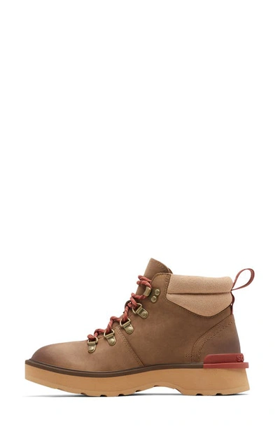 Shop Sorel Hi-line Hiking Boot In Umber Tawny Buff