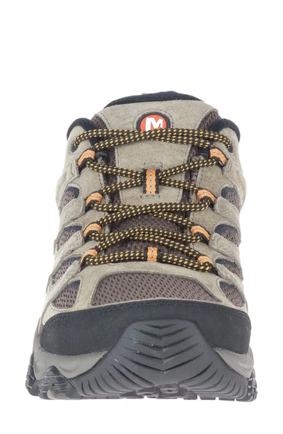 Merrell Moab 2 Low-top Sneakers In Walnut