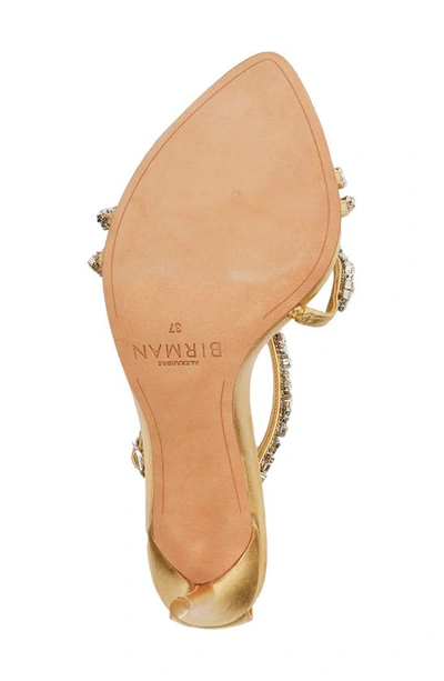 Shop Alexandre Birman Demi Crystal Embellished Sandal In Oro/ Cristal