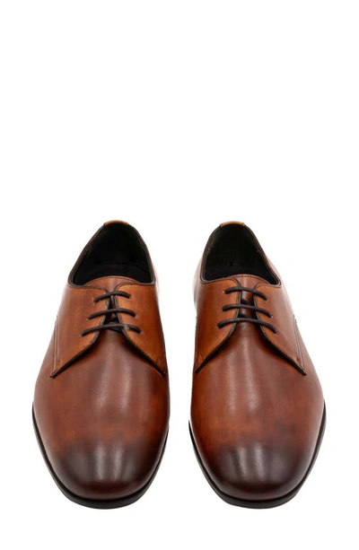 G Brown Conway Derby In Tan | ModeSens