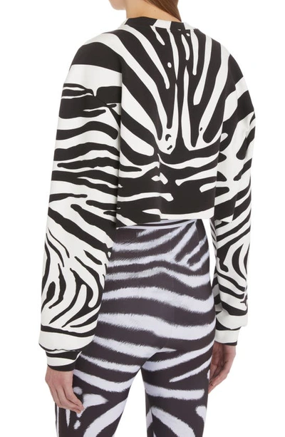 Shop Dolce & Gabbana Zebra Print Crop Cotton Logo Sweatshirt In Hh3sj Zebra B/ N