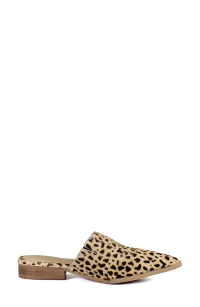 Shop Diba True High Up Calf Hair Mule In Beige Black Spotted