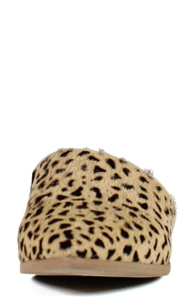 Shop Diba True High Up Calf Hair Mule In Beige Black Spotted