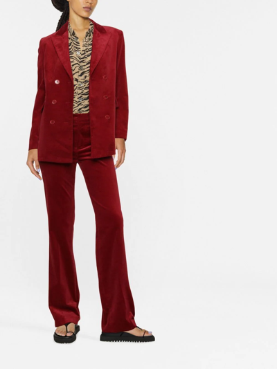 Shop Zadig & Voltaire Voici Double-breasted Velvet Blazer In Red