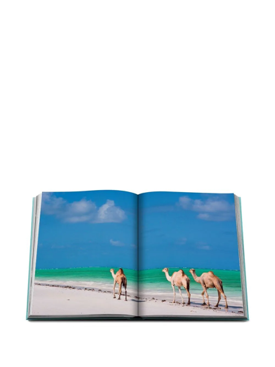 Shop Assouline Red Sea: The Saudi Coast Book In Grün