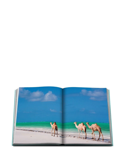 Assouline Books And City Guides Multicolor Uni In Grün