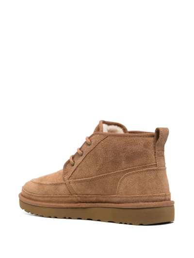 Ugg Neumel Lace Up Shoes In Leather Color Suede In Braun