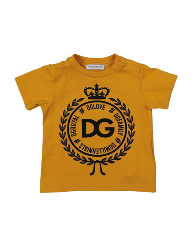 Shop Dolce & Gabbana Newborn Boy T-shirt Ocher Size 3 Cotton In Yellow