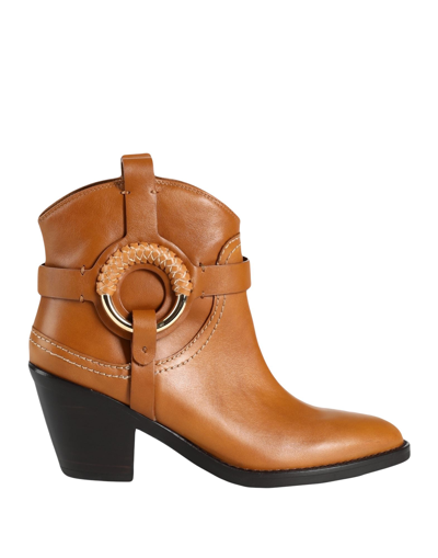Shop See By Chloé Woman Ankle Boots Tan Size 8 Calfskin In Brown