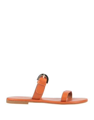 Shop Plinio Visona' Woman Sandals Orange Size 6 Soft Leather