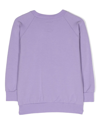 Wauw Capow By Bangbang Embroidered Graphic-appliqué Sweatshirt In 紫色
