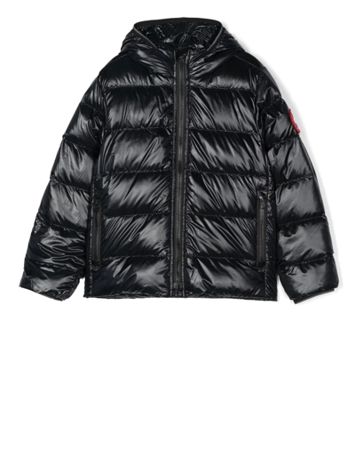 Shop Canada Goose Crofton Padded Jacket In 黑色