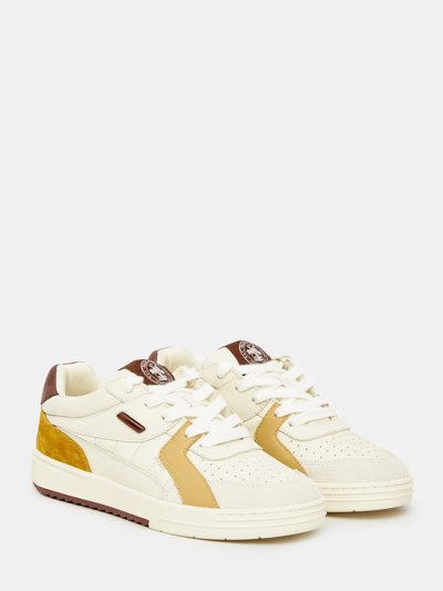 Shop Palm Angels Palm University Sneakers In Panna/beige