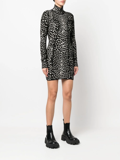 Shop Roberto Cavalli Leopard Jacquard Mini Dress In Black
