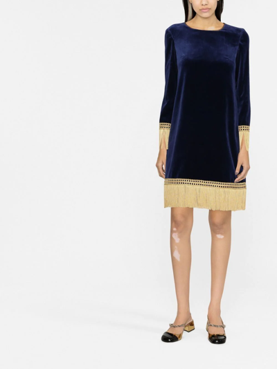 Shop Moschino Fringe-trim Velvet Shift Dress In Blau