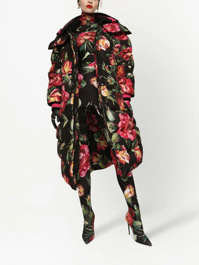 Shop Dolce & Gabbana Floral-print Thigh-high Boots In Black