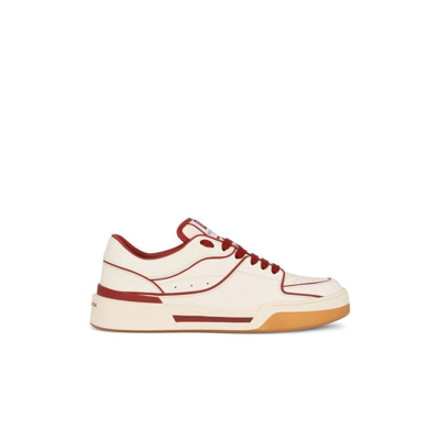 Shop Dolce & Gabbana Neutral New Roma Leather Sneakers In Neutrals
