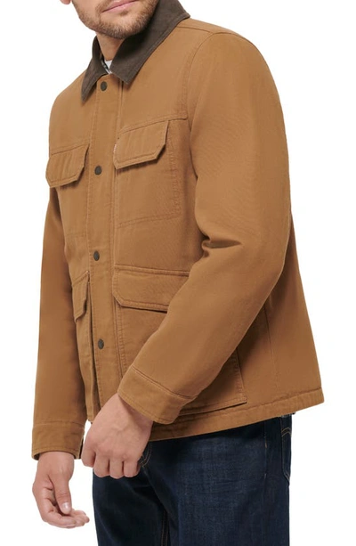Shop Levi's Cotton Canvas Field Jacket In Brown