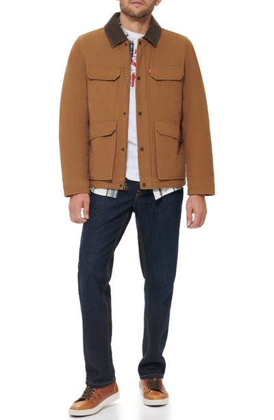 Shop Levi's Cotton Canvas Field Jacket In Brown