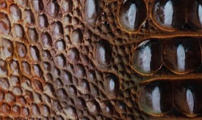 Shop Brahmin Katie Croc Embossed Leather Crossbody Bag In Truffle Python Ombre Melbourne