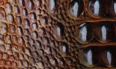 Brahmin Katie Truffle Python Ombre Melbourne In Truffle Python Ombre Melbourne