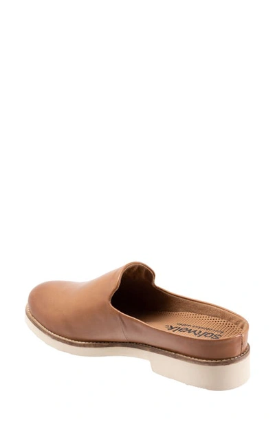 Softwalk Women's Wolcott Clog Women's Shoes In Saddle Leather
