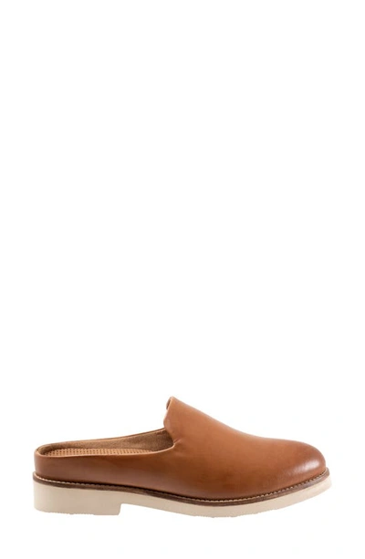 Shop Softwalk Wolcott Ii Mule In Saddle Leather