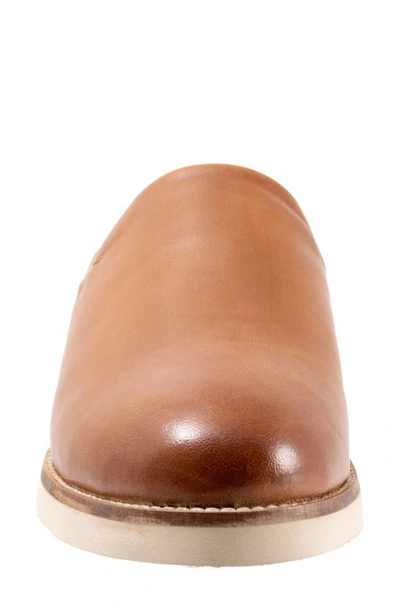 Softwalk Women's Wolcott Clog Women's Shoes In Saddle Leather