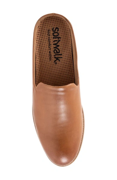 Softwalk Women's Wolcott Clog Women's Shoes In Saddle Leather