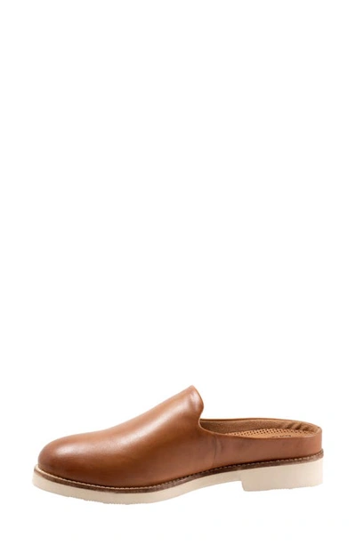 Shop Softwalk Wolcott Ii Mule In Saddle Leather