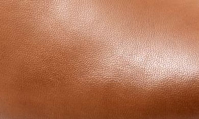 Softwalk Women's Wolcott Clog Women's Shoes In Saddle Leather