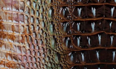 Shop Brahmin Large Duxbury Croc Embossed Leather Satchel In Truffle Python Ombre Melbourne