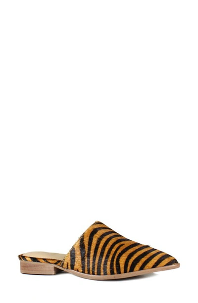 Shop Diba True High Up Calf Hair Mule In Cuoio Black Zebra