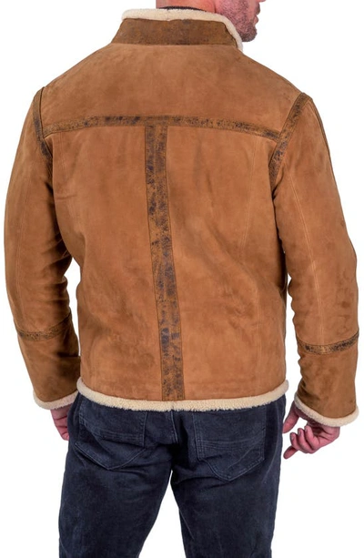Shop Comstock & Co. Montana Suede Jacket With Genuine Shearling Trim In Fawn