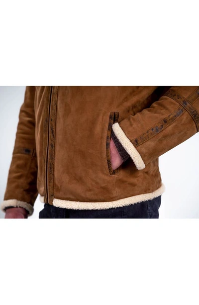 Shop Comstock & Co. Montana Suede Jacket With Genuine Shearling Trim In Fawn