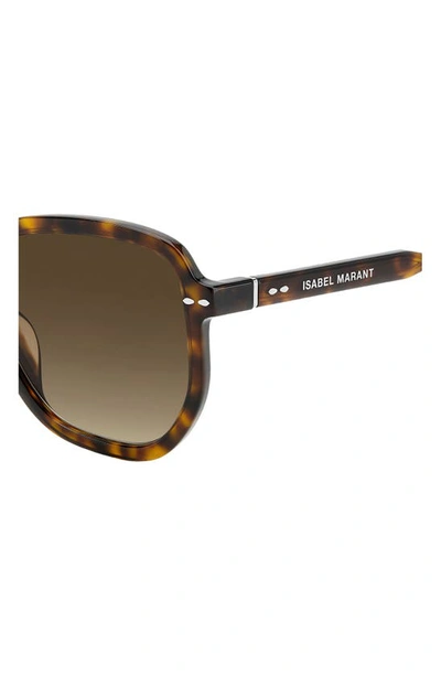 Shop Isabel Marant 52mm Round Sunglasses In Havana Brown Gradient